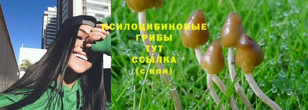 прущая мука Волоколамск